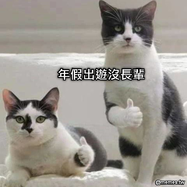 年假出遊沒長輩