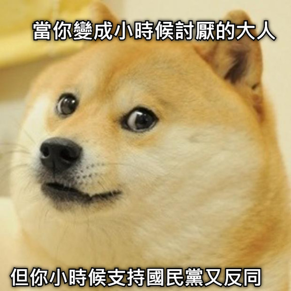 當你變成小時候討厭的大人 但你小時候支持國民黨又反同
