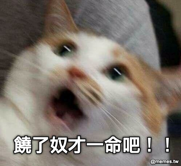 饒了奴才一命吧！！