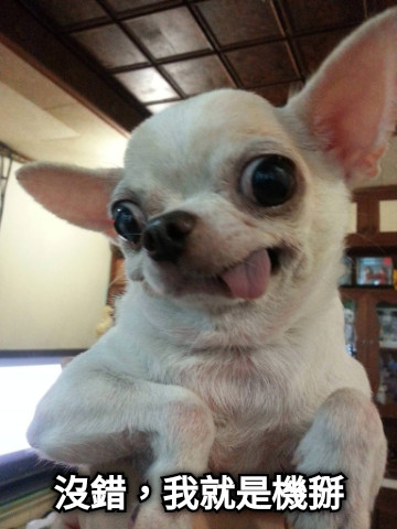 沒錯，我就是機掰