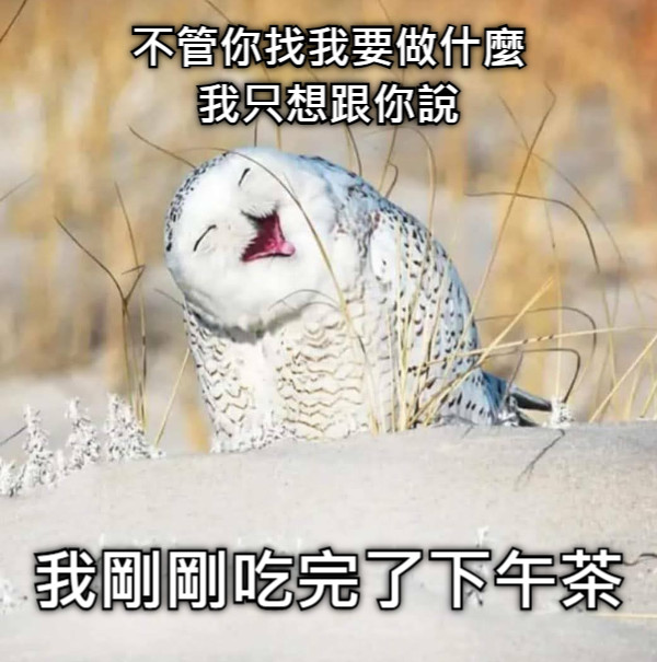 不管你找我要做什麼 我只想跟你說 我剛剛吃完了下午茶