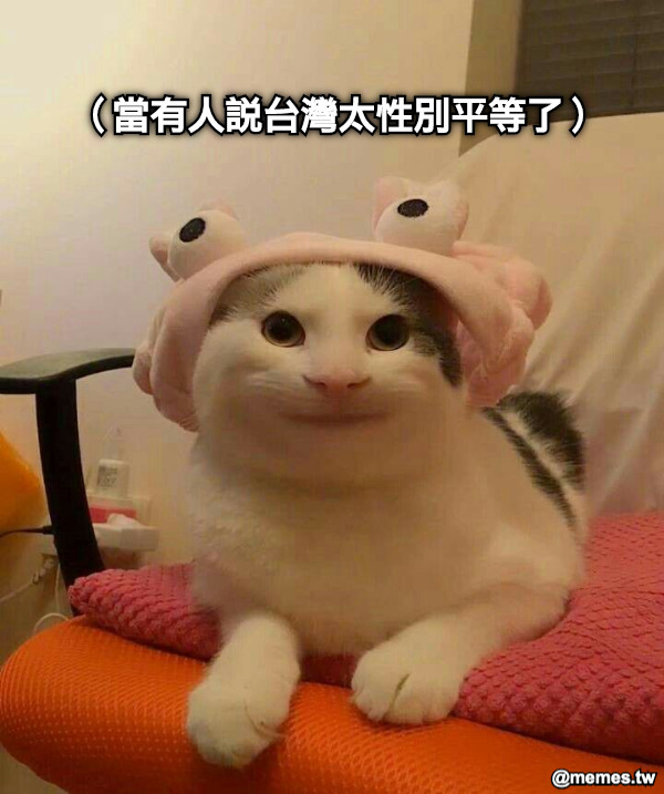 （當有人說台灣太性別平等了）