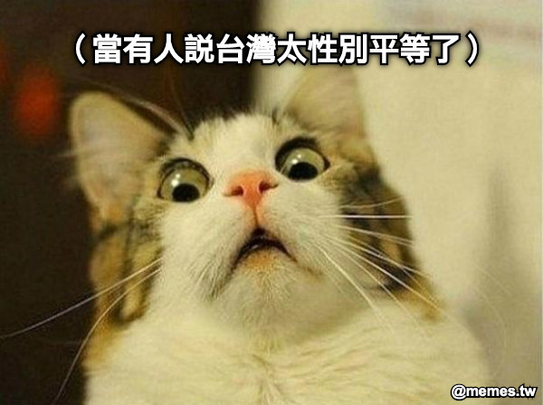 （當有人說台灣太性別平等了）