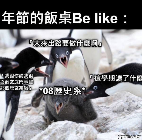 「未來出路要做什麼啊」 「這學期讀了什麼啊」 「我跟你講我很喜歡玄武門事變那個唐玄宗啦」 *08歷史系* 年節的飯桌Be like：