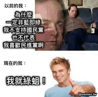 為什麼 一定非藍即綠 我不支持國民黨 也不代表 我喜歡民進黨啊 我就綠蛆！