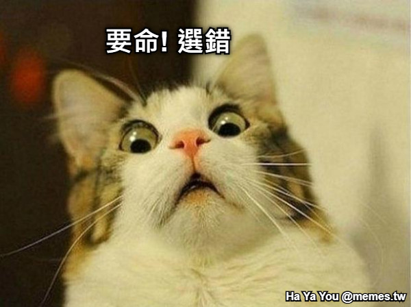 要命! 選錯