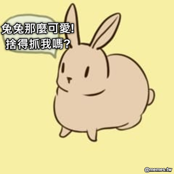 兔兔那麼可愛! 捨得抓我嗎?