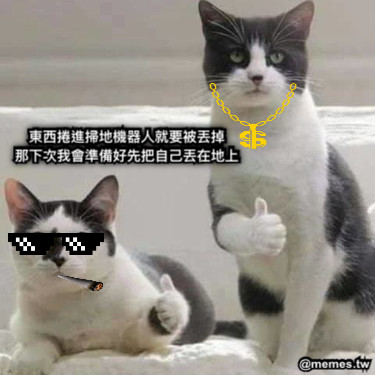 東西捲進掃地機器人就要被丟掉 那下次我會準備好先把自己丟在地上