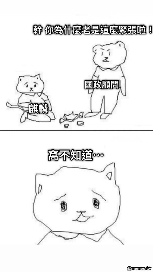 幹 你為什麼老是這麼緊張啦！ 國政顧問 麒麟 窩不知道⋯