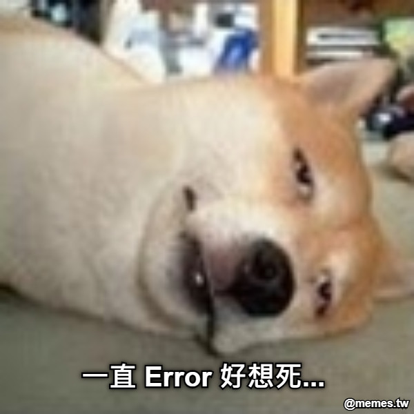 一直 Error 好想死...