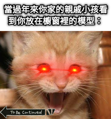當過年來你家的親戚小孩看到你放在櫥窗裡的模型：