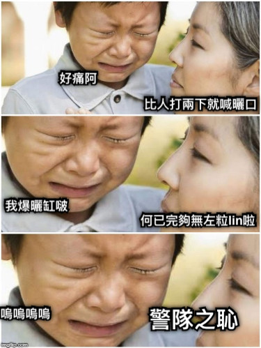 好痛阿 比人打兩下就喊曬口 何已完夠無左粒lin啦 我爆曬缸啵 嗚嗚嗚嗚 警隊之恥