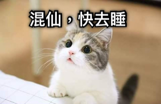 混仙，快去睡