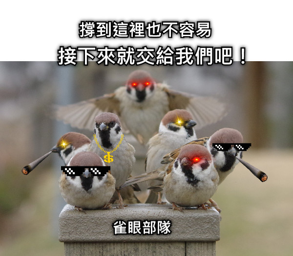 雀眼部隊 撐到這裡也不容易 接下來就交給我們吧！