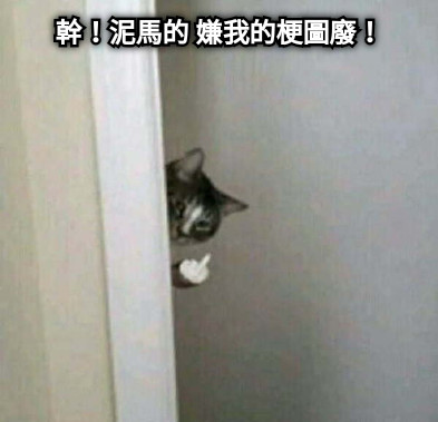 幹！泥馬的 嫌我的梗圖廢！