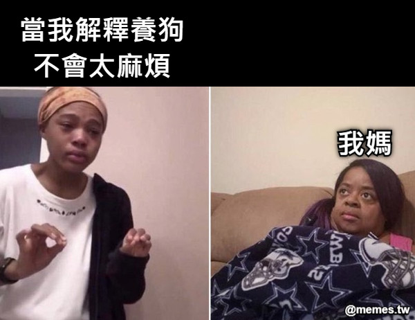 當我解釋養狗不會太麻煩 我媽