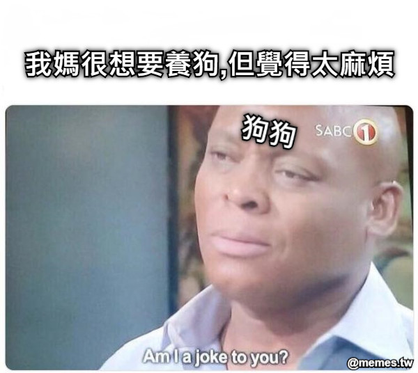 我媽很想要養狗,但覺得太麻煩 狗狗