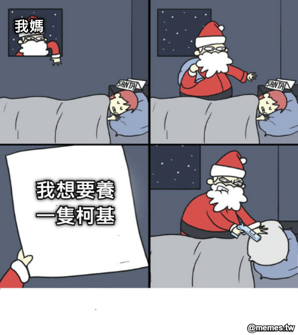 我想要養一隻柯基 我媽