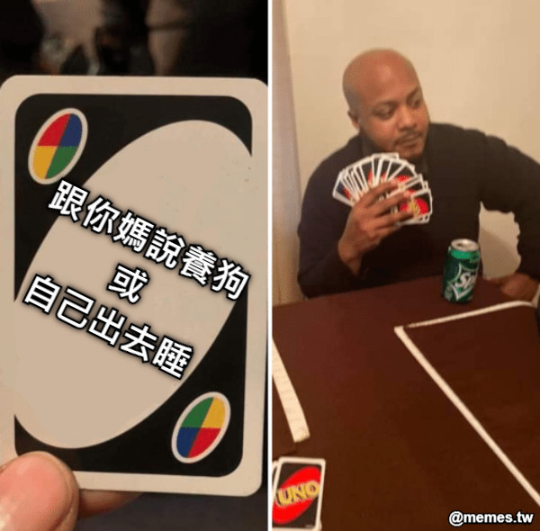 跟你媽說養狗 或 自己出去睡
