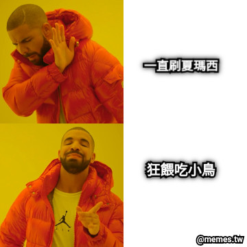 一直刷夏瑪西 狂餵吃小鳥
