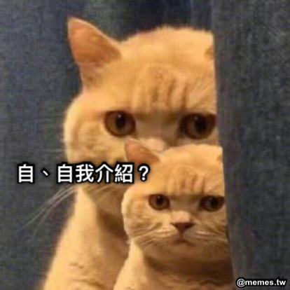 自、自我介紹？
