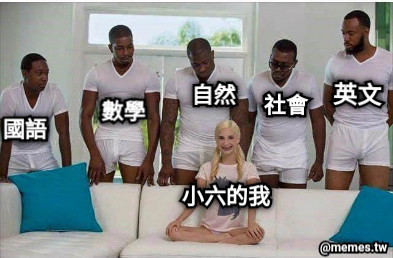 國語 數學 自然 社會 英文 小六的我