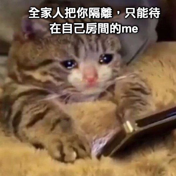 全家人把你隔離，只能待在自己房間的me
