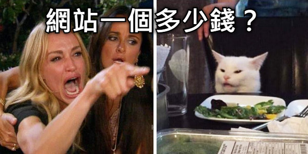 網站一個多少錢？