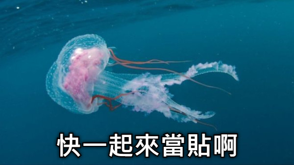 快一起來當貼啊