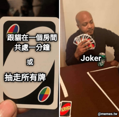 跟貓在一個房間共處一分鐘 或 抽走所有牌 Joker