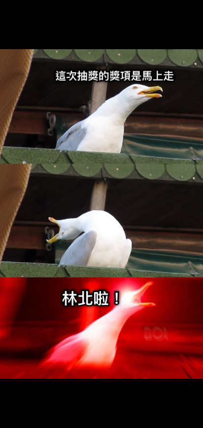 這次抽獎的獎項是馬上走 林北啦！
