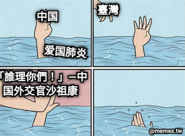 中国 爱国肺炎 臺灣 「誰理你們！」—中国外交官沙祖康