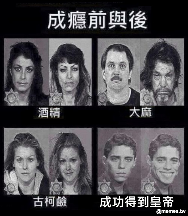 成功得到皇帝