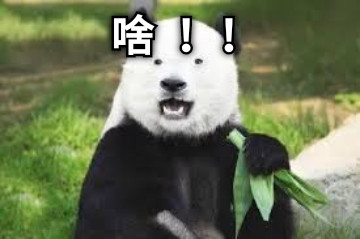 啥 ！！
