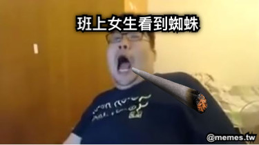 班上女生看到蜘蛛