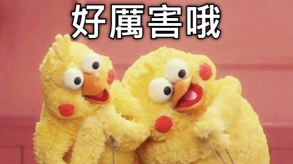好厲害哦
