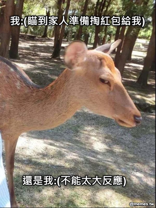 我:(瞄到家人準備掏紅包給我) 還是我:(不能太大反應)