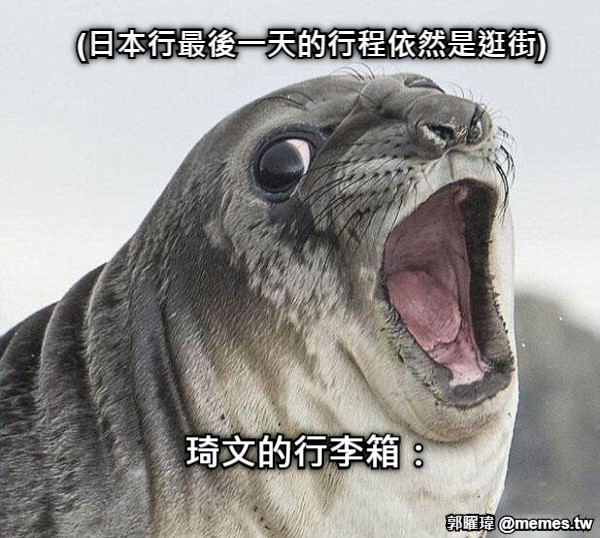 琦文的行李箱： (日本行最後一天的行程依然是逛街)