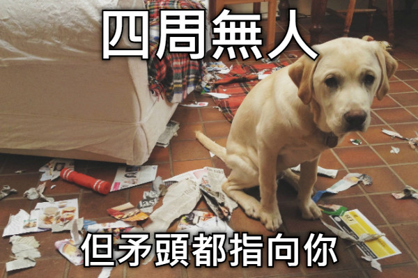 四周無人 但矛頭都指向你