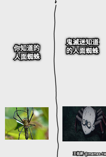 你知道的 人面蜘蛛 鬼滅迷知道 的人面蜘蛛
