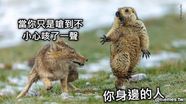 當你只是嗆到不小心咳了一聲 你身邊的人