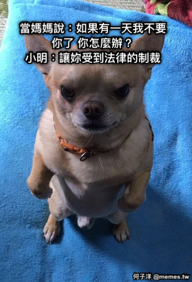 當媽媽說：如果有一天我不要你了 你怎麼辦？ 小明：讓妳受到法律的制裁 文字可以拖動與旋轉！！