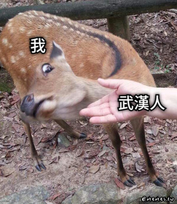我 武漢人
