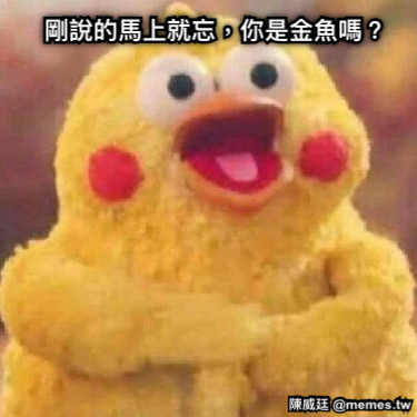 剛說的馬上就忘，你是金魚嗎？
