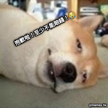 抱歉啦！至少不能賠錢！😭