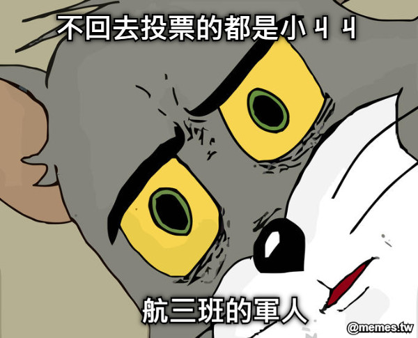 不回去投票的都是小ㄐㄐ 航三班的軍人