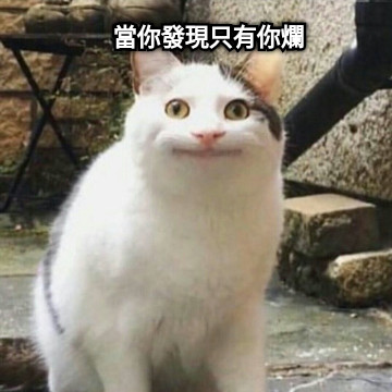 當你發現只有你爛