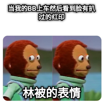 当我的BB上车然后看到脸有扒过的红印 林被的表情