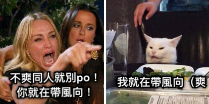 不爽同人就別po！你就在帶風向！ 我就在帶風向（爽