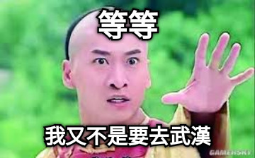 等等 我又不是要去武漢